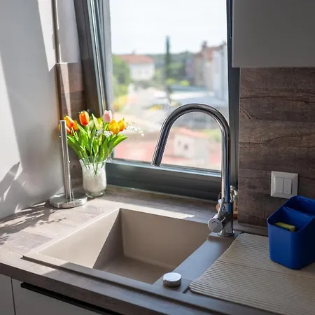 Happy Day 1,2,3 פולה