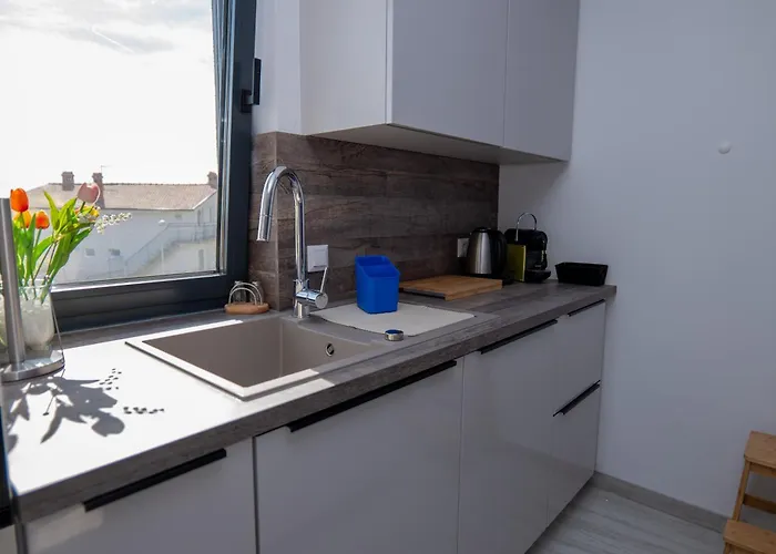 Happy Day 1,2,3 Pula